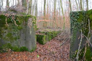 Ligne Maginot - WILLERHOF (BATTERIE DE) - (Position d'artillerie préparée) - Encuvement 3
L'entrée