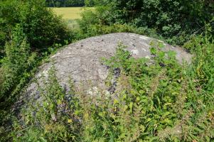 Ligne Maginot - BETTLACH NORD 2 - (Blockhaus pour canon) - L'encuvement est enfoui sous les ronces