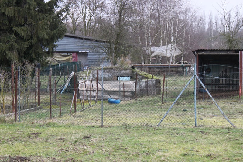 Ligne Maginot - 31 - WOLFSCHIESS NORD - (Blockhaus pour arme infanterie) - Vue générale au téléobjectif