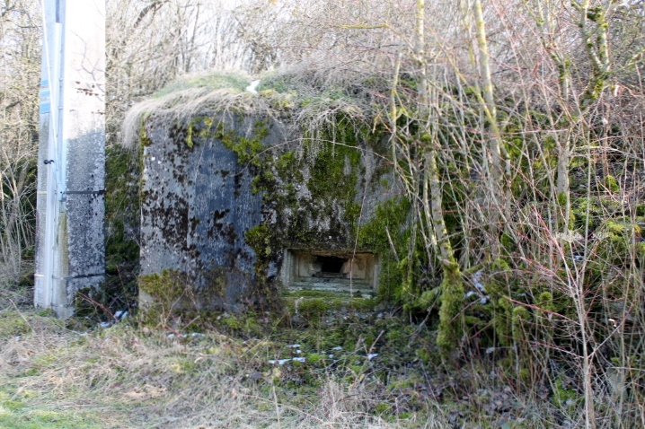 Ligne Maginot - FIRST 1 - (Blockhaus pour arme infanterie) - Façade de tir