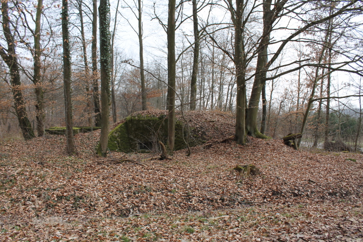 Ligne Maginot - SCHLOSSWALD 1 - (Blockhaus pour arme infanterie) - Vue générale