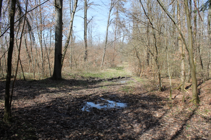 Ligne Maginot - Chemin d'accès - Chemin d'accès