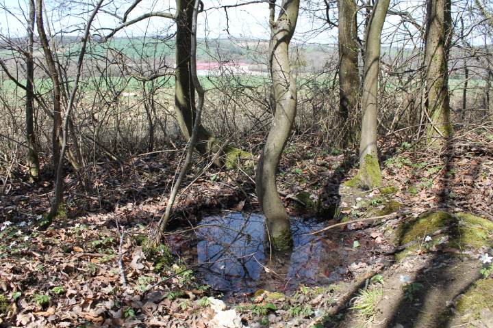 Ligne Maginot - MUEHLENWALD 2 - (Observatoire d'infanterie) - L'emplacement du puits