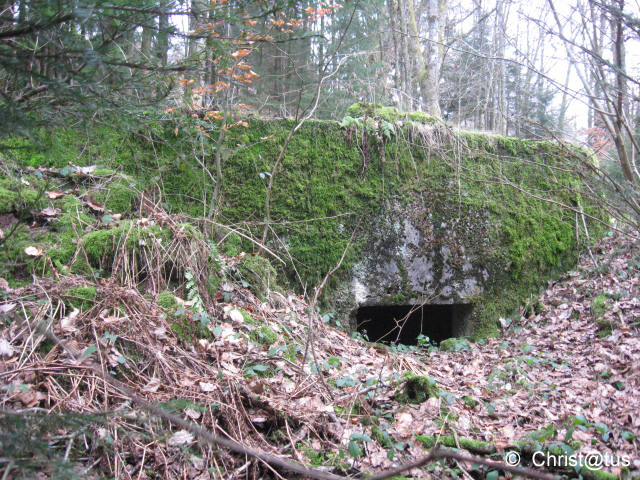 Ligne Maginot - SCHWANGERBACH 1 - (Blockhaus pour canon) -  - Christian LENHARD