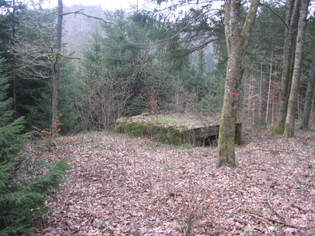 Ligne Maginot - SCHWANGERBACH 1 - (Blockhaus pour canon) - 