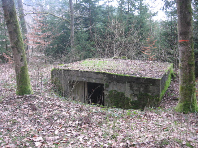 Ligne Maginot - SCHWANGERBACH 1 - (Blockhaus pour canon) - 