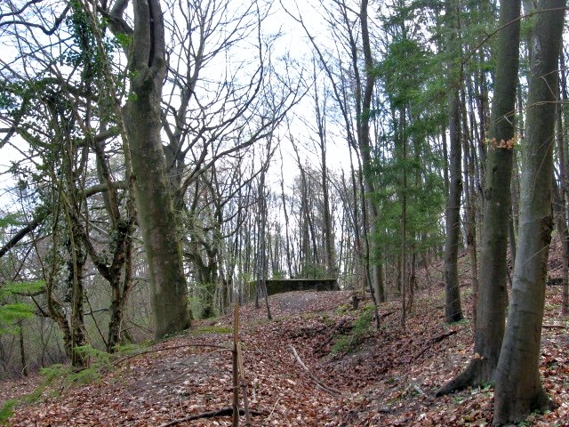 Ligne Maginot - MEISTERBUSCH 3 - (Observatoire d'infanterie) - 