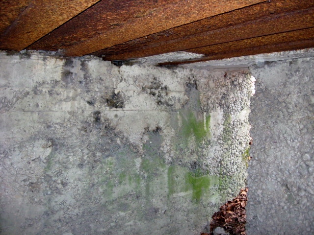 Ligne Maginot - MEISTERBUSCH 3 - (Observatoire d'infanterie) - 