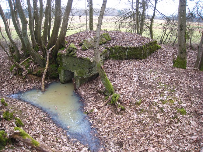 Ligne Maginot - L entrée -  - Pruzsina Jérome