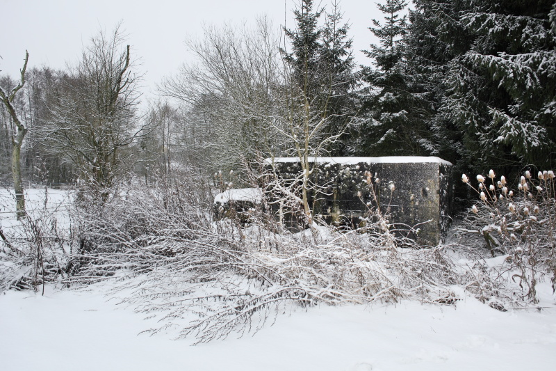 Ligne Maginot - CB286 - PESCH OUEST - (Blockhaus pour arme infanterie) - Bien que non visible sur cette photo, c'est cette façade, orientée vers le nord-est, que se trouve le créneau de tir principal. 