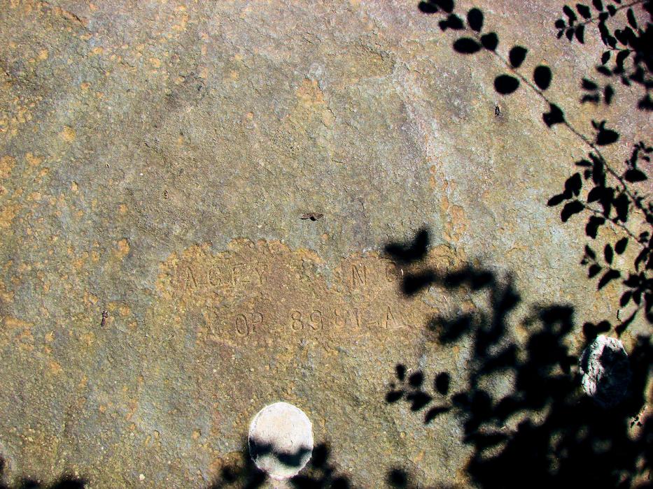 Ligne Maginot - HACKENBERG - A19 (Ouvrage d'artillerie) - Bloc 1
Détail de la tourelle de mitrailleuses. - Schnoupf