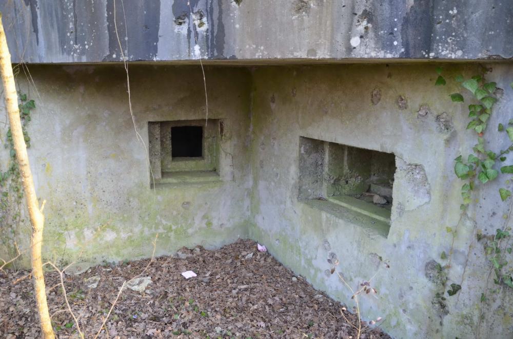 Ligne Maginot - 181 - KEMBS NORD 2 - (Blockhaus pour arme infanterie) - Vue sur les créneaux FM et mitrailleuse