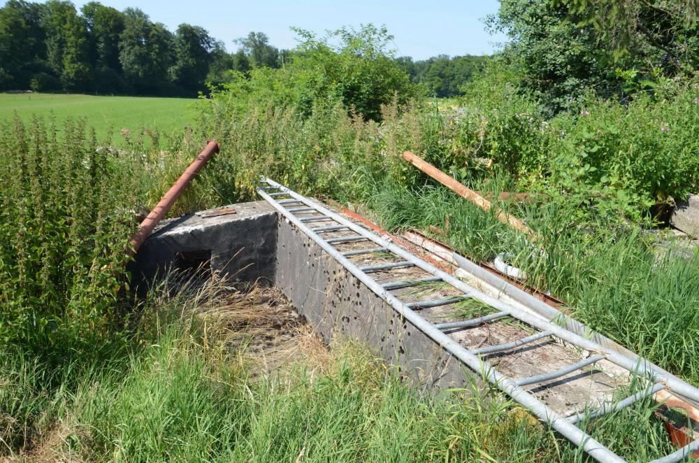 Ligne Maginot - BETTLACH NORD 2 - (Blockhaus pour canon) - Entrée du blockhaus
Escalier fermé par une trappe métallique. L'encuvement est dans une propriété privée