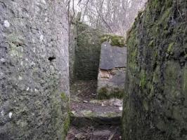 Ligne Maginot - PC de Téting Sud - La tranchée reliant les deux alvéoles (sur la gauche) et les accès depuis la route (sur la droite)
