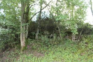 Ligne Maginot - STATION 1 - (Blockhaus pour canon) - Façade de tir