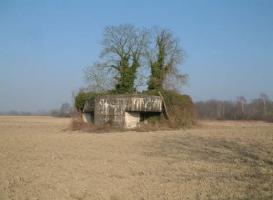 Ligne Maginot - NEUSCHOLLEN EST - (Casemate d'infanterie - Simple) - 