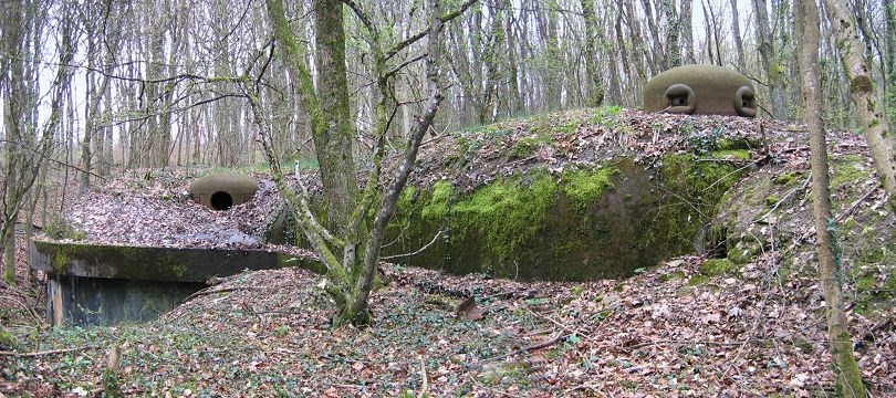 Ligne Maginot - BOIS DE LAUDREFANG SUD - C77 - (Casemate d'infanterie - Simple) - Les dessus