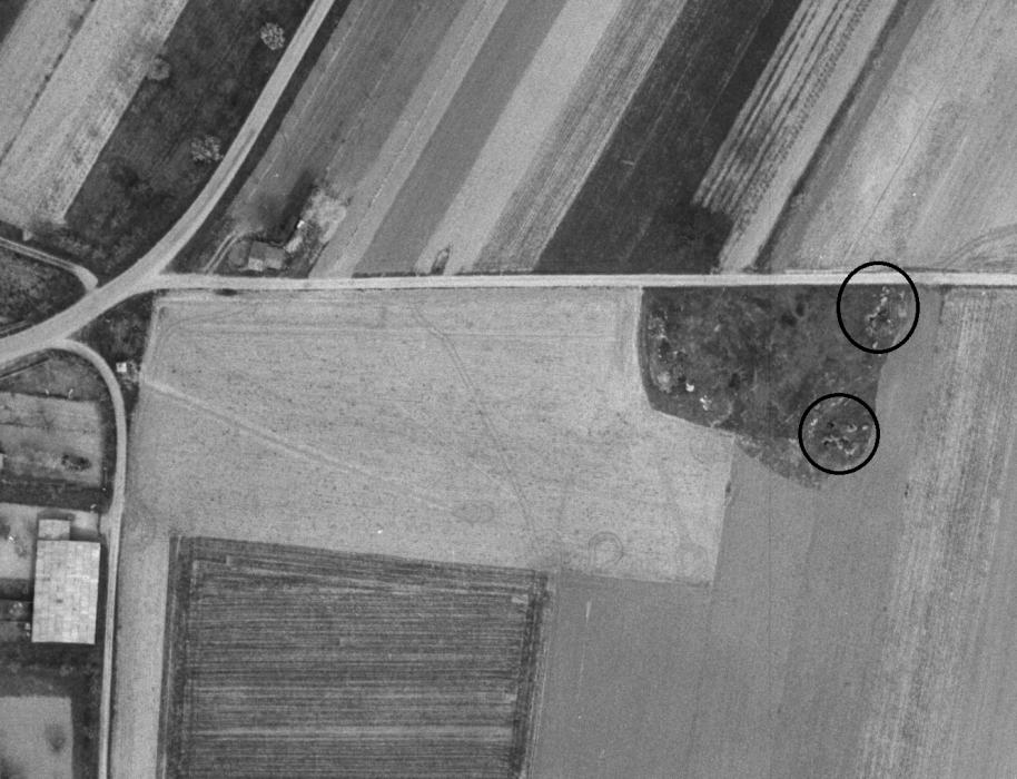 Ligne Maginot - BALGAU Est 1 et 2 - (Blockhaus de type indéterminé) - 