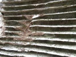 Ligne Maginot - HOCHWALD C6 ( Casemate d'infanterie ) - Détail du camouflage sur le mur d'aile de la chambre de tir haute