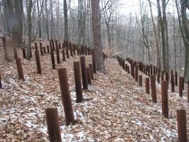 Ligne Maginot - HOCHWALD C9 ( Casemate d'infanterie ) - Le réseau de rails antichar aux abords