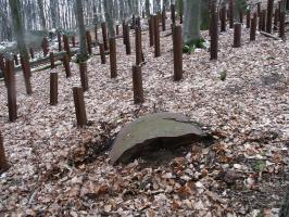 Ligne Maginot - HOCHWALD C9 ( Casemate d'infanterie ) - Le réseau de rails antichar aux abords et une partie de le cloche GFM détruite