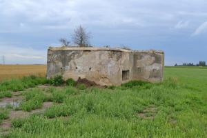 Ligne Maginot - BEF 323 - L'EPINETTE OUEST - (Blockhaus pour canon) - 
