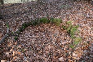 Ligne Maginot - SCHMELZBACH 3 (Cuve pour arme d'infanterie) - Emplacement pour tourelle démontable STG 35/37