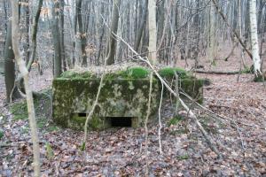 Ligne Maginot - HOCHWALD Ouest 5 ( Blockhaus pour arme infanterie ) - 