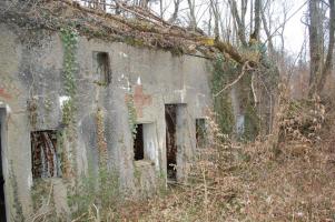 Ligne Maginot - La LOUVIERE (II/149° RIF) ( PC de Quartier ) - Situé en bordure de la route qui va de Longuyon vers Pierrepont en Meurthe et Moselle cet ouvrage est en ruine et la nature reprend ses droits...