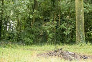 Ligne Maginot - BEF 385 - BOIS de BERCU (Blockhaus pour arme infanterie) - 