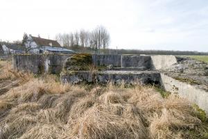 Ligne Maginot - BEF 65 - ROUTE DE FAUMONT OUEST - (Blockhaus pour canon) - 