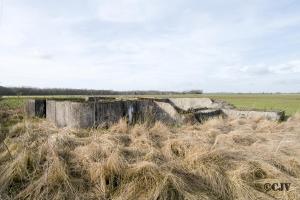 Ligne Maginot - BEF 65 - ROUTE DE FAUMONT OUEST - (Blockhaus pour canon) - 