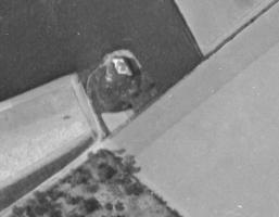 Ligne Maginot - B298 - VIEUX-SAILLY (Blockhaus pour canon) - 