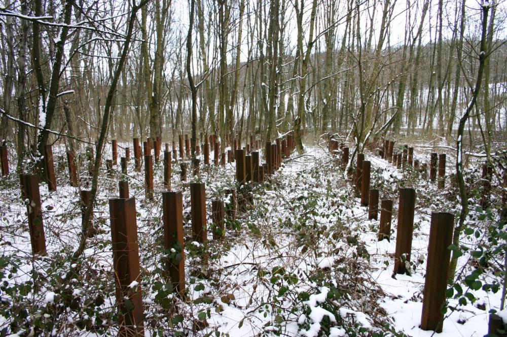 Ligne Maginot - HOCHWALD - (Ouvrage d'artillerie) - Réseau de rails antichar du demi ouvrage Est