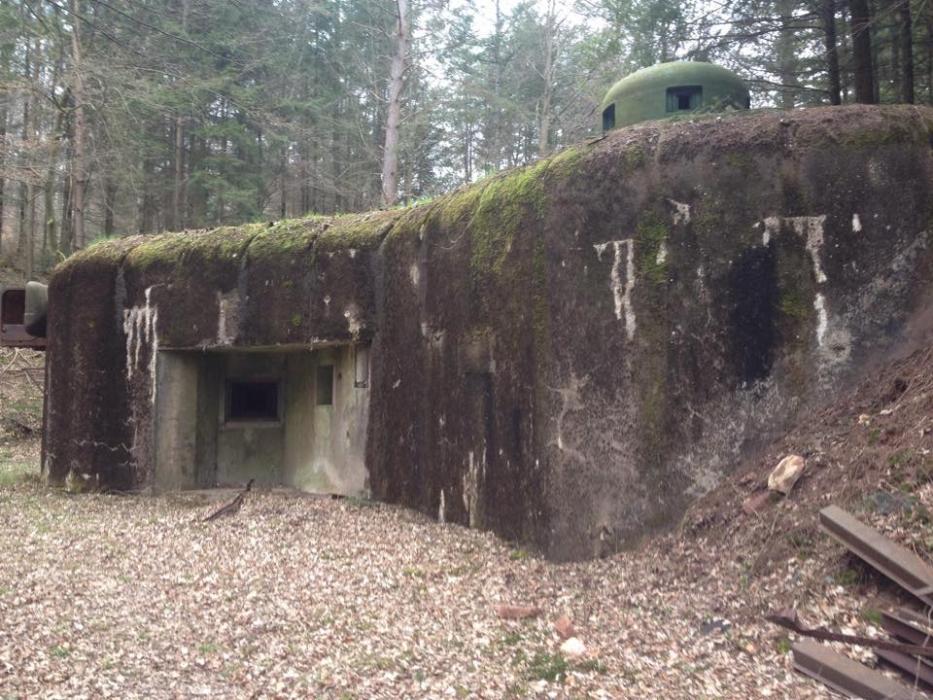 Ligne Maginot - WINECKERTHAL OUEST - (Casemate d'infanterie - Double) -  - EVA Philippe