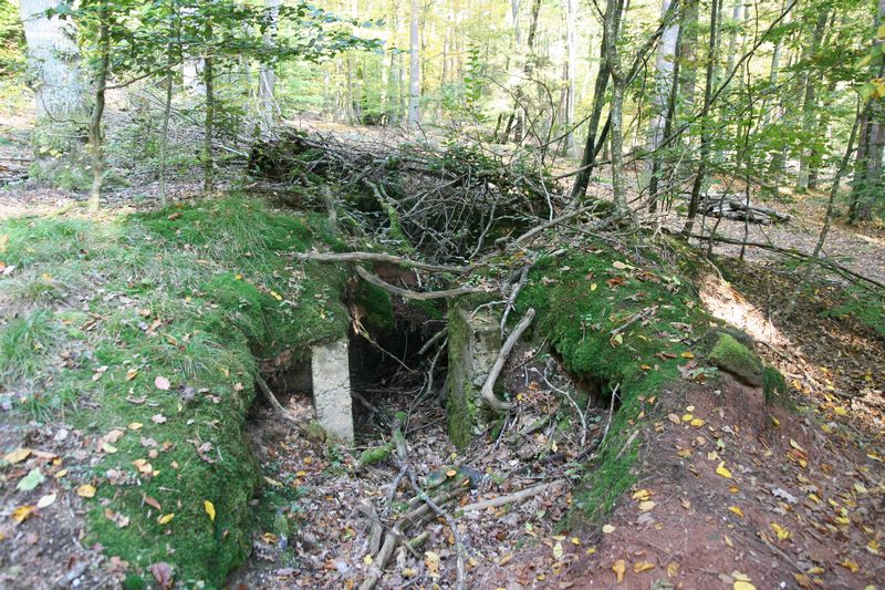 Ligne Maginot - Plateforme du Dachseck 2 -  - GRUBER Franck