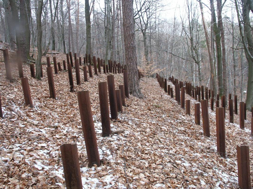 Ligne Maginot - HOCHWALD C9 ( Casemate d'infanterie ) - Le réseau de rails antichar aux abords