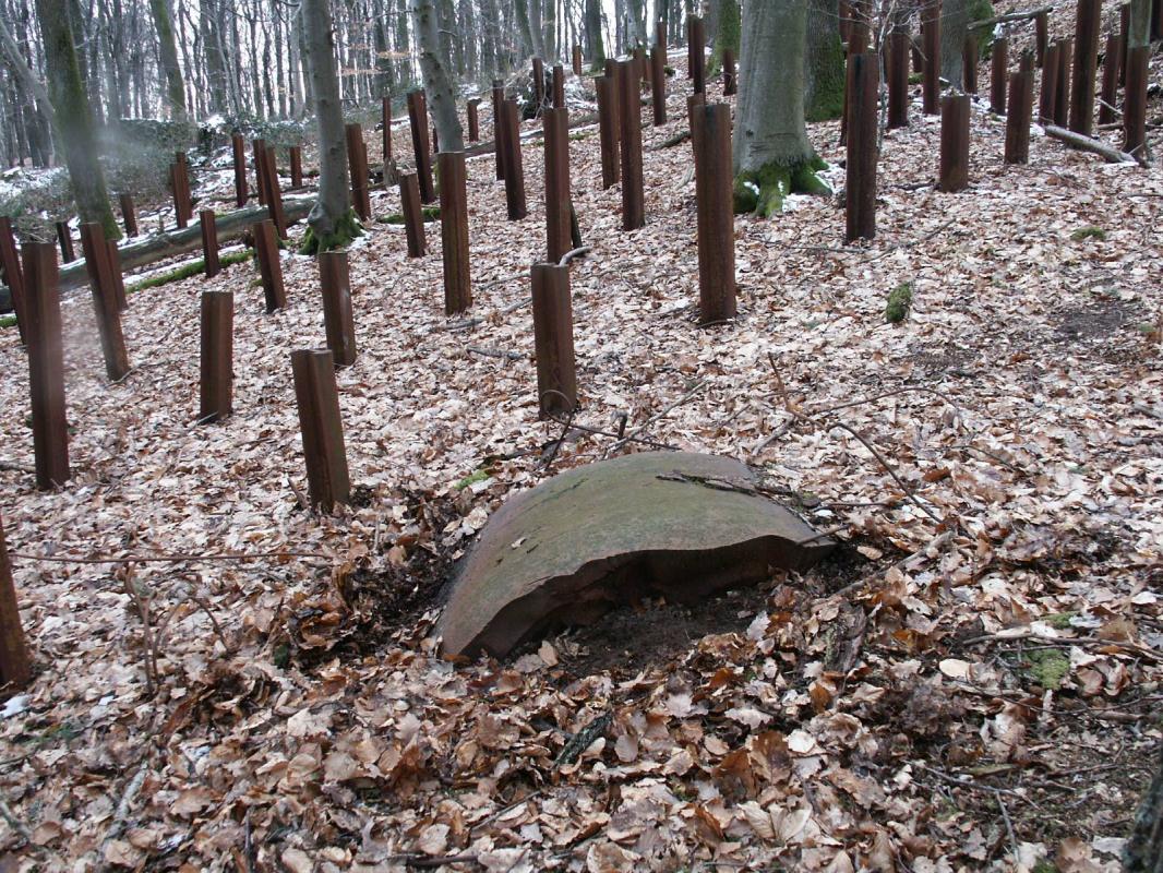 Ligne Maginot - HOCHWALD C9 ( Casemate d'infanterie ) - Le réseau de rails antichar aux abords et une partie de le cloche GFM détruite