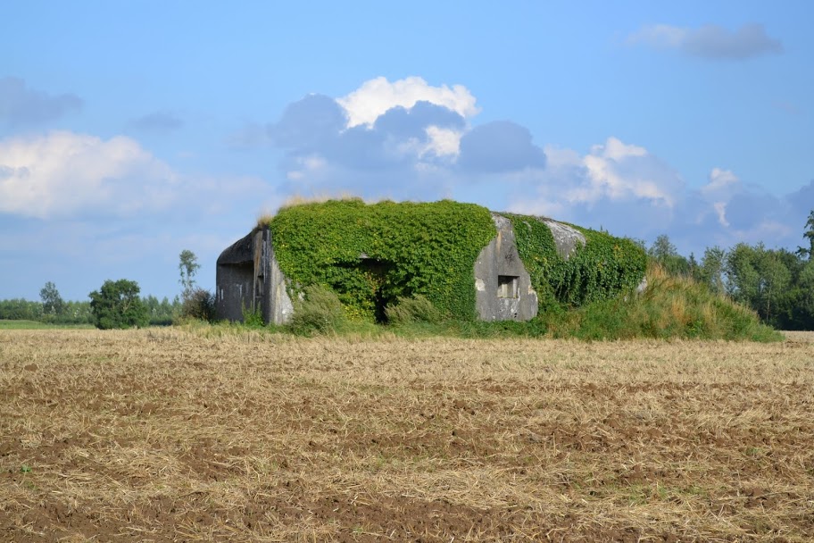 Ligne Maginot - B524 - WARGNIES LE PETIT - (Blockhaus pour canon) - 