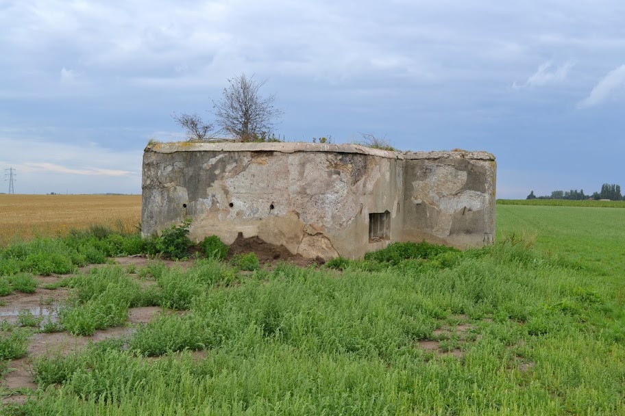 Ligne Maginot - BEF 323 - L'EPINETTE OUEST - (Blockhaus pour canon) - 