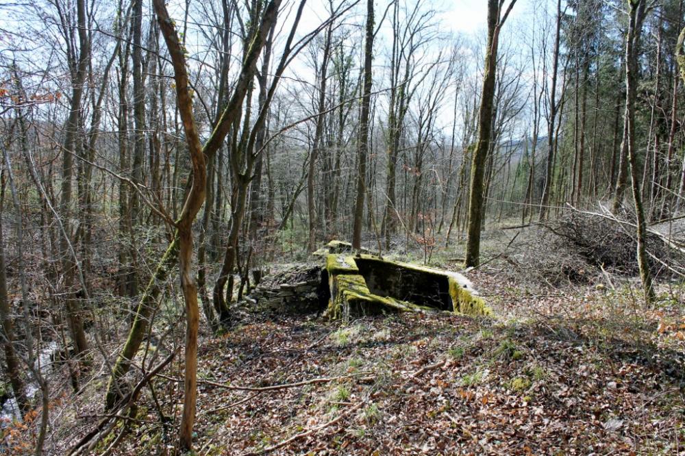 Ligne Maginot - GRAND BOIS 4 - (Cuve pour arme d'infanterie) - Vue générale - Christian LENHARD