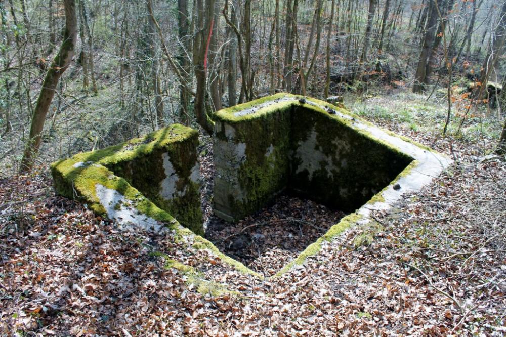 Ligne Maginot - GRAND BOIS 4 - (Cuve pour arme d'infanterie) -  - Christian LENHARD