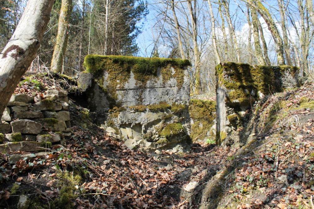 Ligne Maginot - GRAND BOIS 4 - (Cuve pour arme d'infanterie) - L'entrée - Christian LENHARD