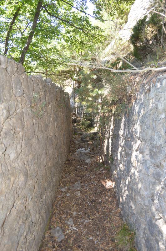 Ligne Maginot - BAISSE DE SCUVION 1 - (Blockhaus pour arme infanterie) -  - Michal Prasil