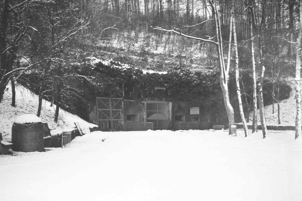 Ligne Maginot - SIMSERHOF - (Ouvrage d'artillerie) - Entrée munitions