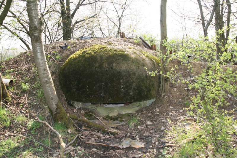 Ligne Maginot - DRACHENBRONN 2 ( Blockhaus pour arme infanterie ) -  - GRUBER Franck