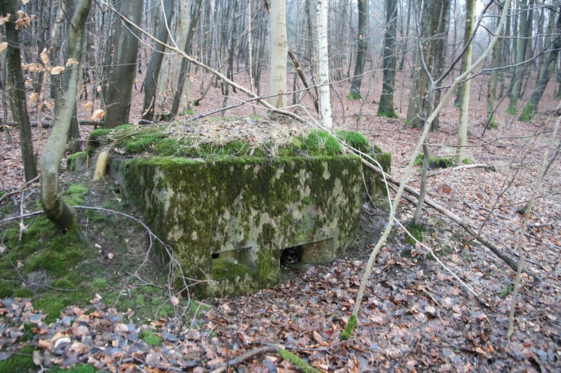 Ligne Maginot - HOCHWALD Ouest 5 ( Blockhaus pour arme infanterie ) - 