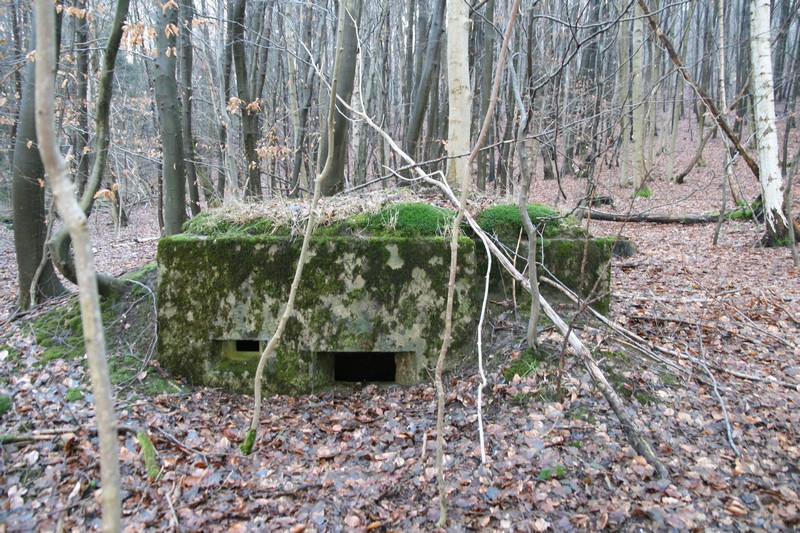 Ligne Maginot - HOCHWALD Ouest 5 ( Blockhaus pour arme infanterie ) - 