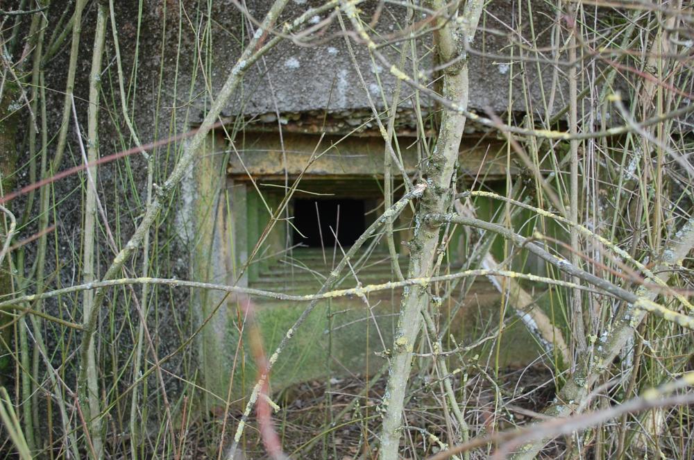 Ligne Maginot - MB351 - (Blockhaus lourd type STG / STG-FCR - Simple) - Créneau de tir vu de l'extérieur