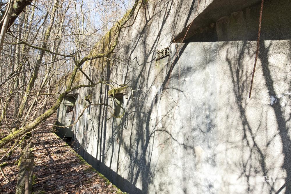 Ligne Maginot - BARRUNGSHOFF - BORNUNGSHOFF - X11 - (Abri) - 